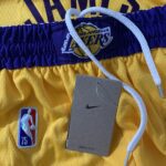 Kit Conjunto Camiseta Regata e Bermuda Short NBA Los Angeles Lakers Icon Edition Amarela 2022 Nike - Imagem 9