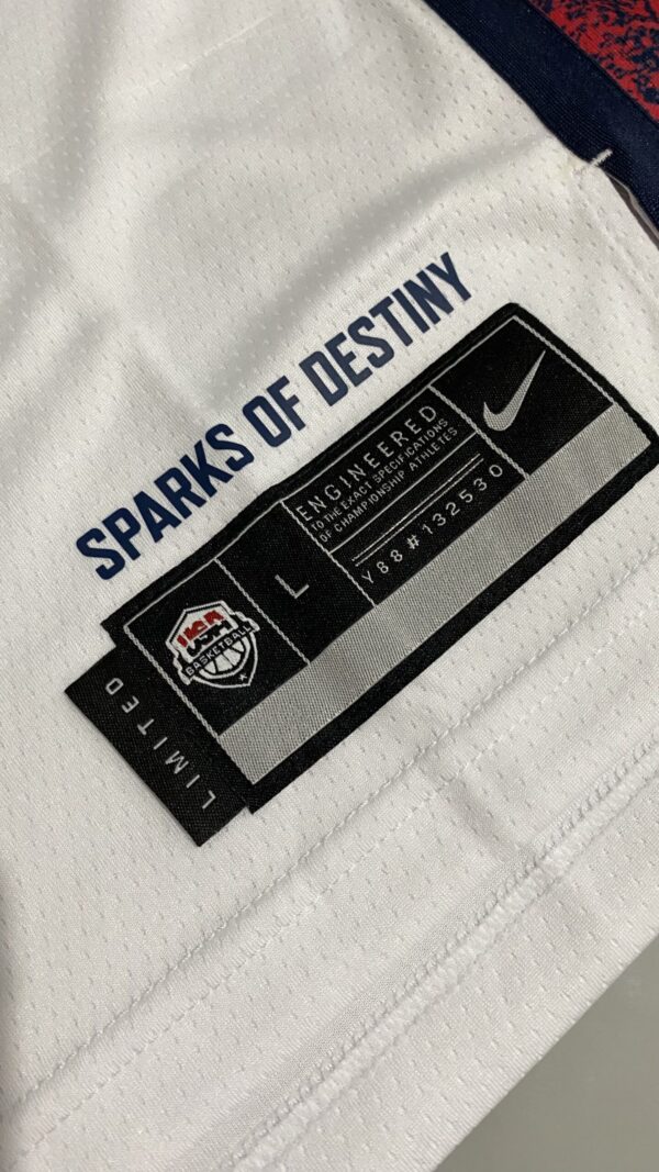 Camiseta Regata Basquete USA EUA Seleção Estados Unidos Jogos Olimpícos Paris 2024 Branca Nike - Imagem 25