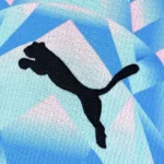 Camisa Seleção Suíça Away Versão Torcedor Copa Do Mundo 2026 Azul Puma - Imagem 2