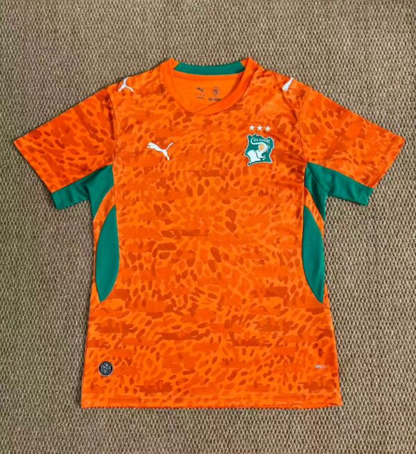 Camisa Costa do Marfim Copa do Mundo 2026 Torcedor Laranja Puma - Imagem 8