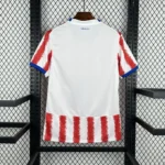 Camisa Seleção Paraguai Home Versão Torcedor Copa do Mundo 2026 Vermelha Puma - Imagem 7