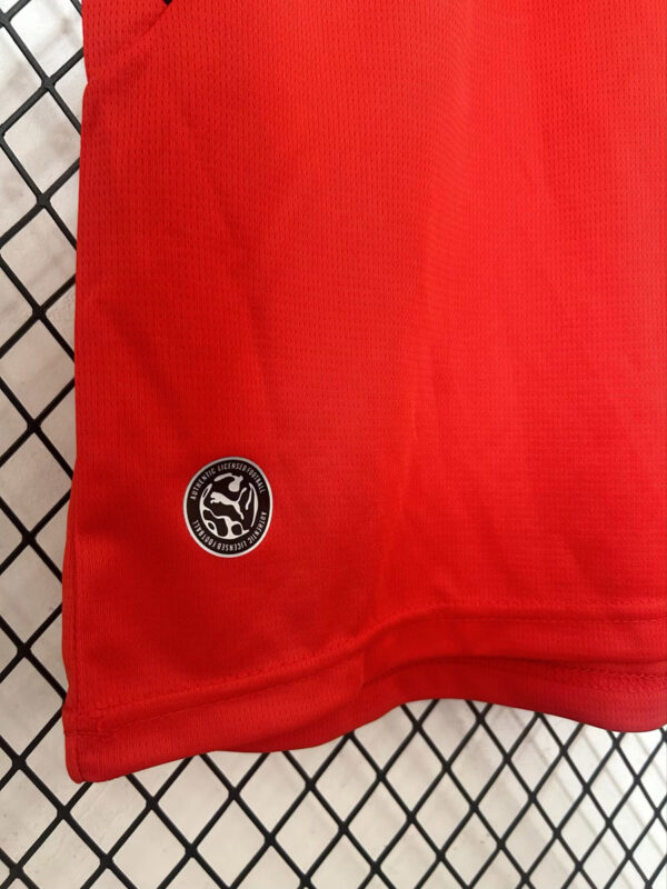 Camisa Seleção Austria Home Versão Torcedor Copa Do Mundo 2026 Puma - Imagem 6