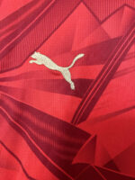 Camisa Seleção Egito Home Versão Torcedor Copa Do Mundo 2026 Puma - Imagem 5