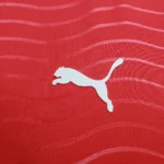 Camisa Seleção Portugal Home Versão Jogador - Ronaldo 7 CR7 - Copa Do Mundo 2026 Puma Vermelha - Imagem 16