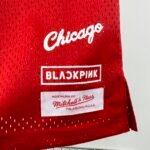 Camiseta Regata NBA Chicago Bulls Blackpink - Mitchell & Ness Vermelha 2025/26 - Imagem 4