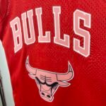 Camiseta Regata NBA Chicago Bulls Blackpink - Mitchell & Ness Vermelha 2025/26 - Imagem 2
